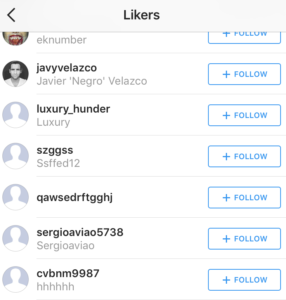 Typical list of fake followers.